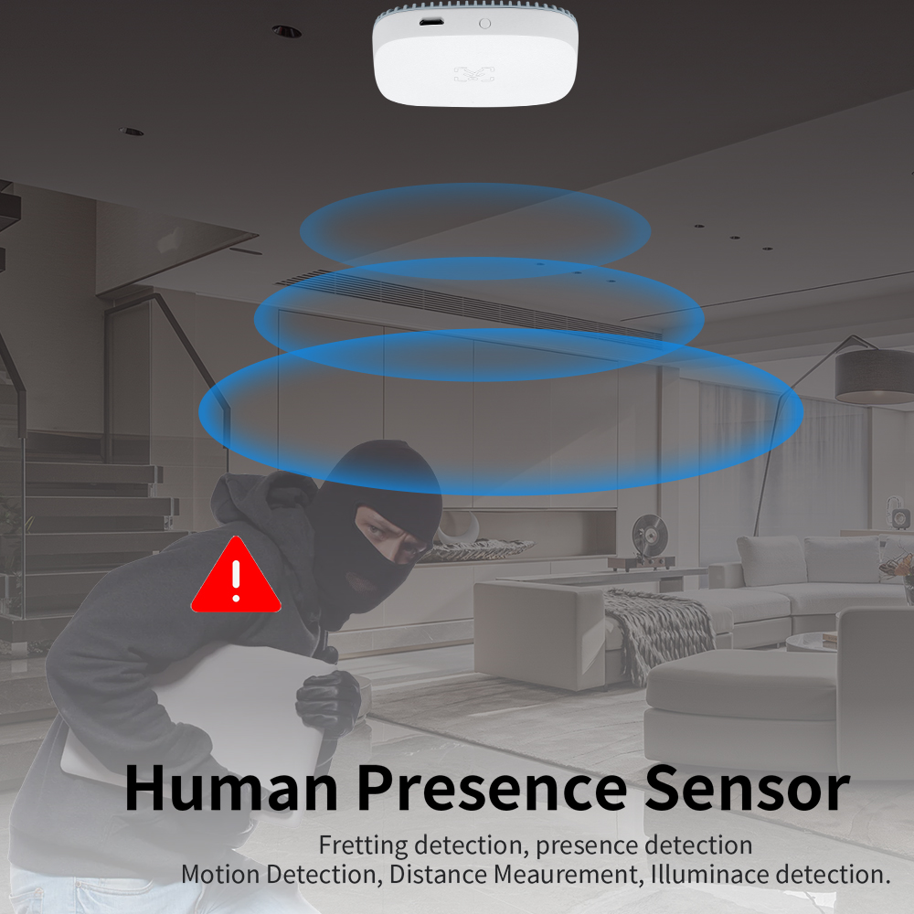 24G Mmwave Radar Human Presenc - Tasmota review and price