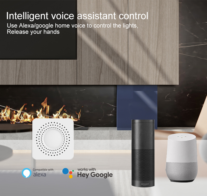 Tuya Mini Smart Switch WiFi 1- - Home Assistant Tuya review and price