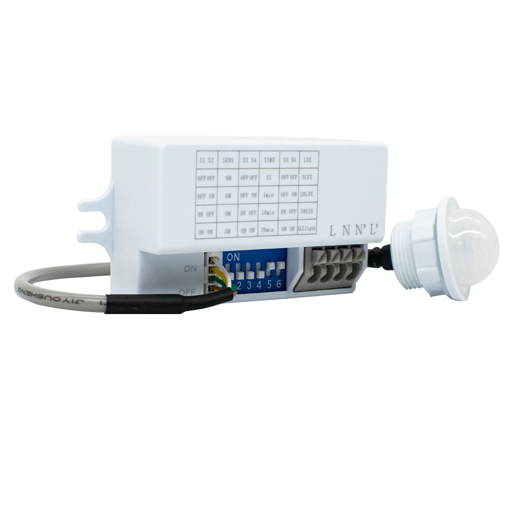 Motion Sensor Light Switch 220 - Tasmota review and price