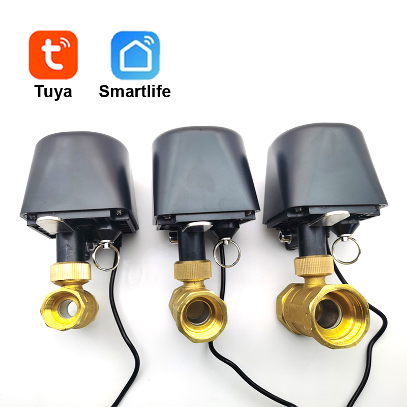 Tuya WiFi or Zigbee Water Valv - Home Assistant Tuya review and price